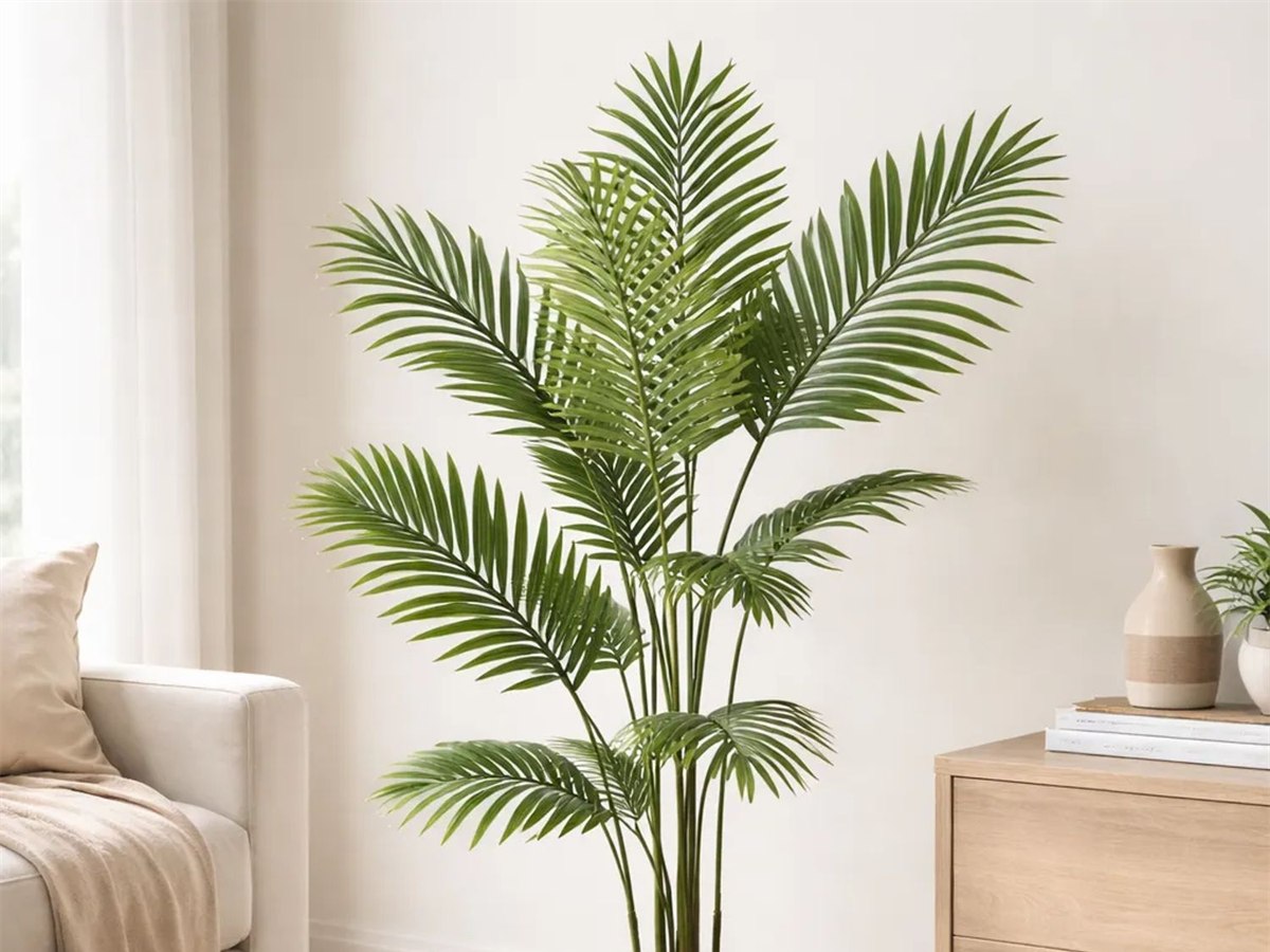 Areca Palm Tree gallery view 1
