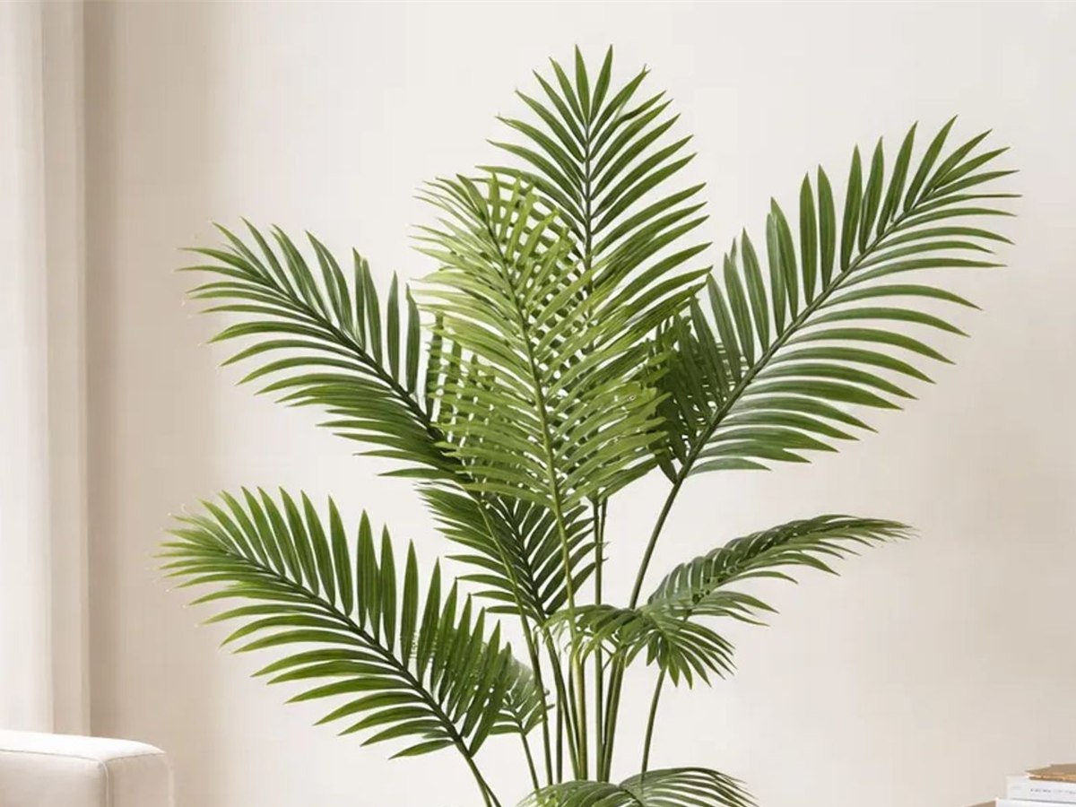Areca Palm Tree gallery view 2