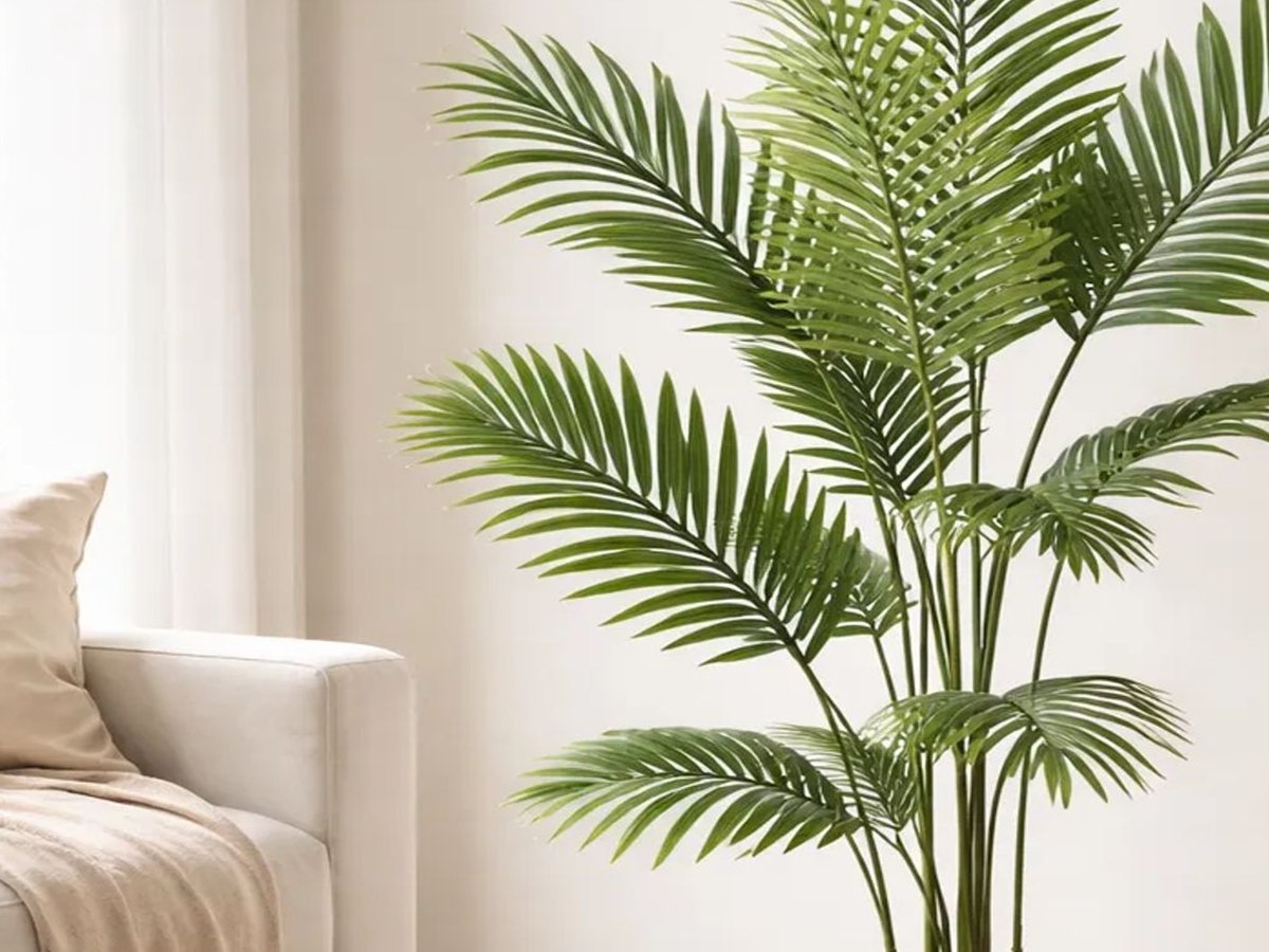 Areca Palm Tree gallery view 5