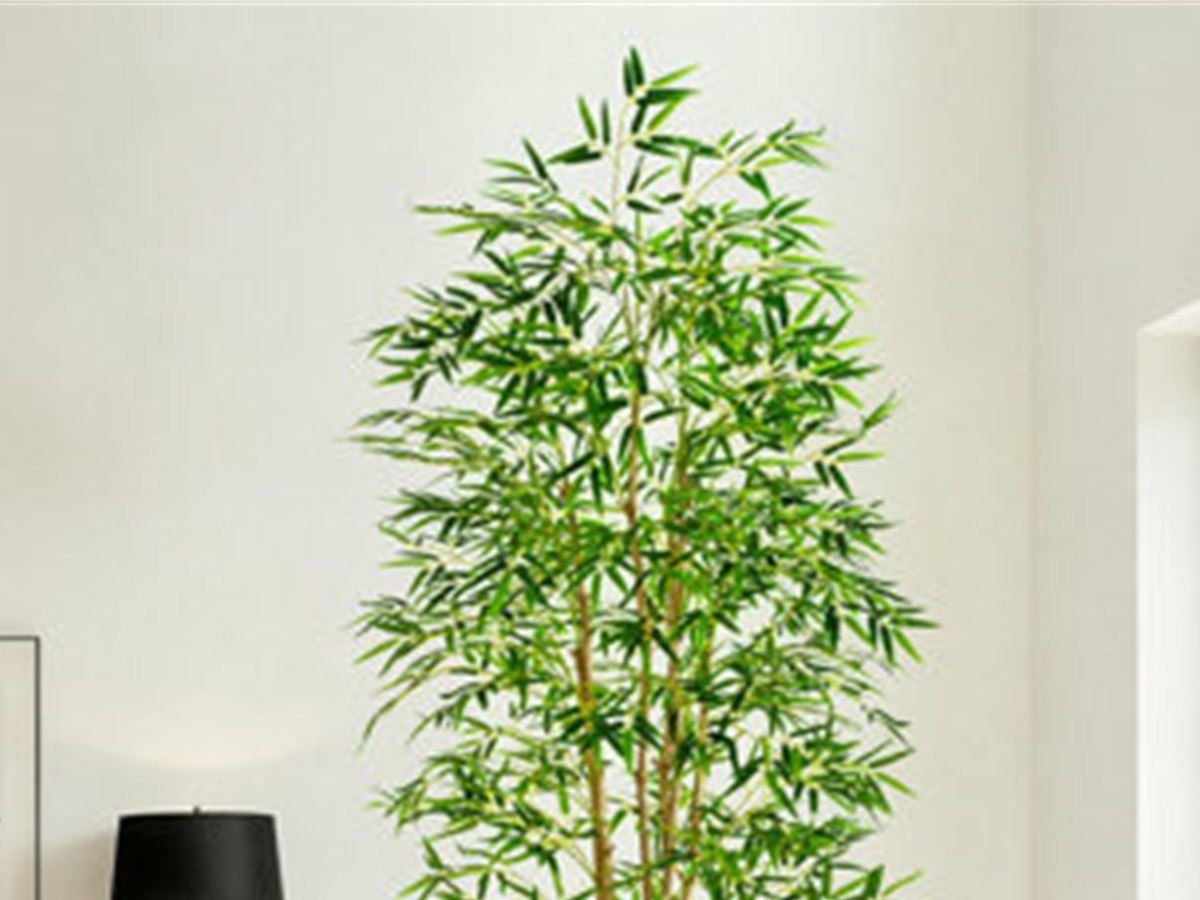 Bamboo Tree gallery view 2