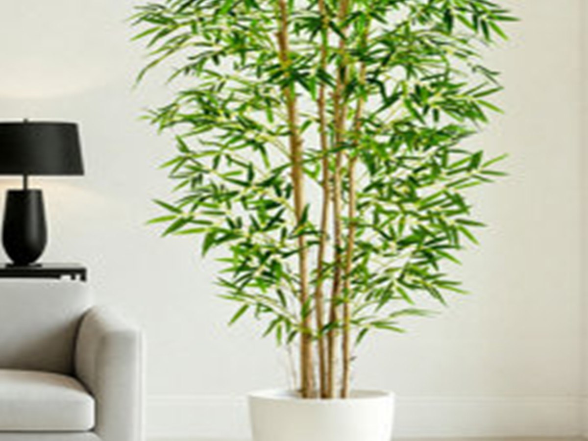 Bamboo Tree gallery view 4