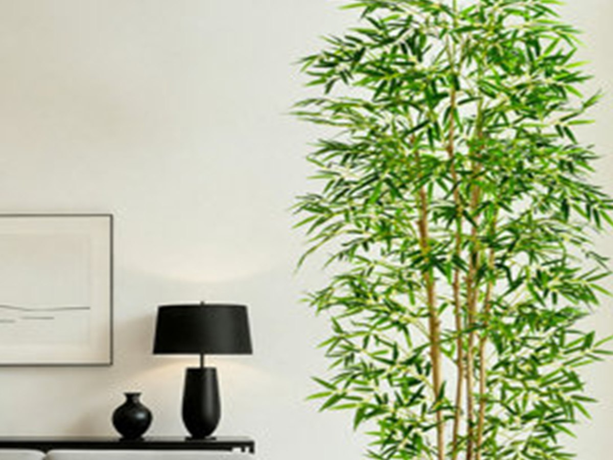 Bamboo Tree gallery view 5
