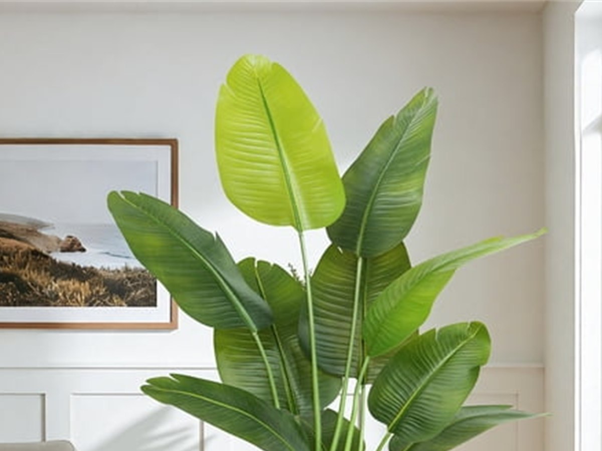 Banana Leaf Tree gallery view 2