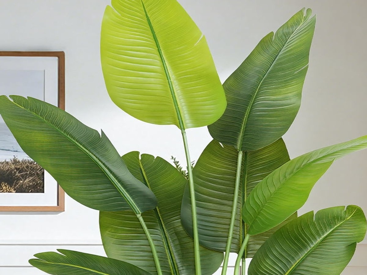 Bird of Paradise Tree gallery view 3