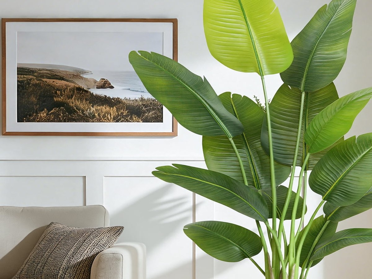 Bird of Paradise Tree gallery view 5