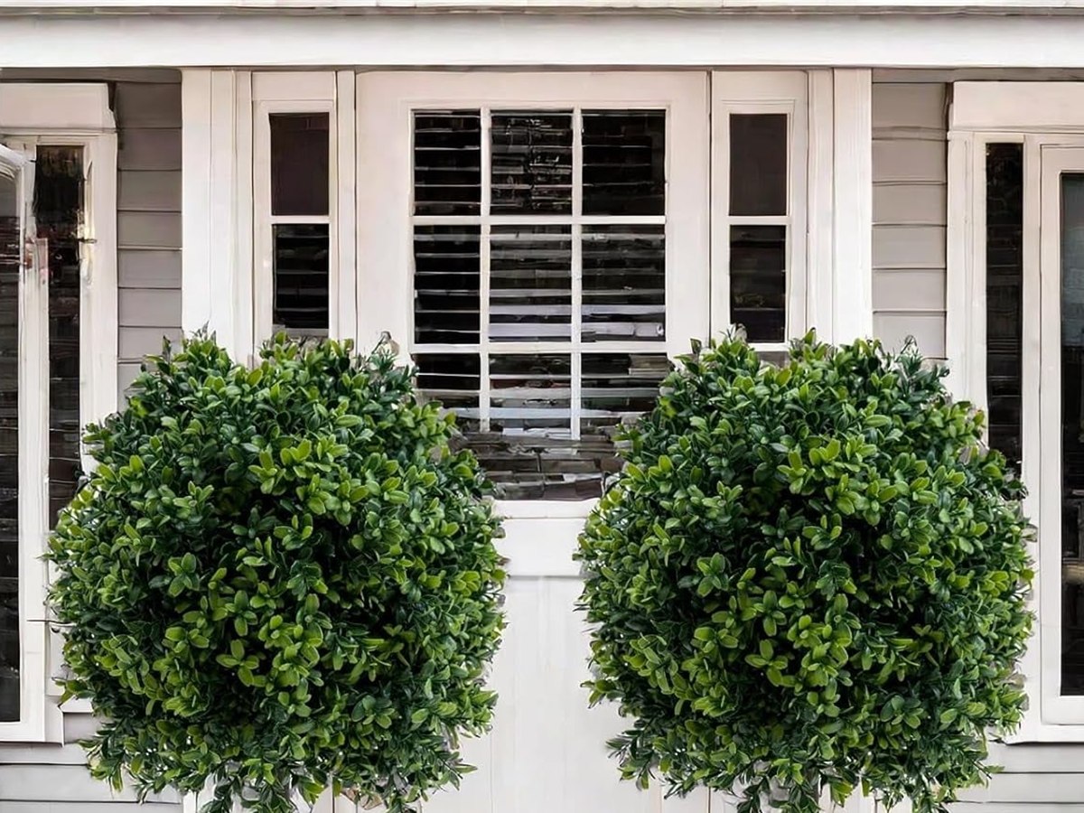 Boxwood Topiary Tree gallery view 2