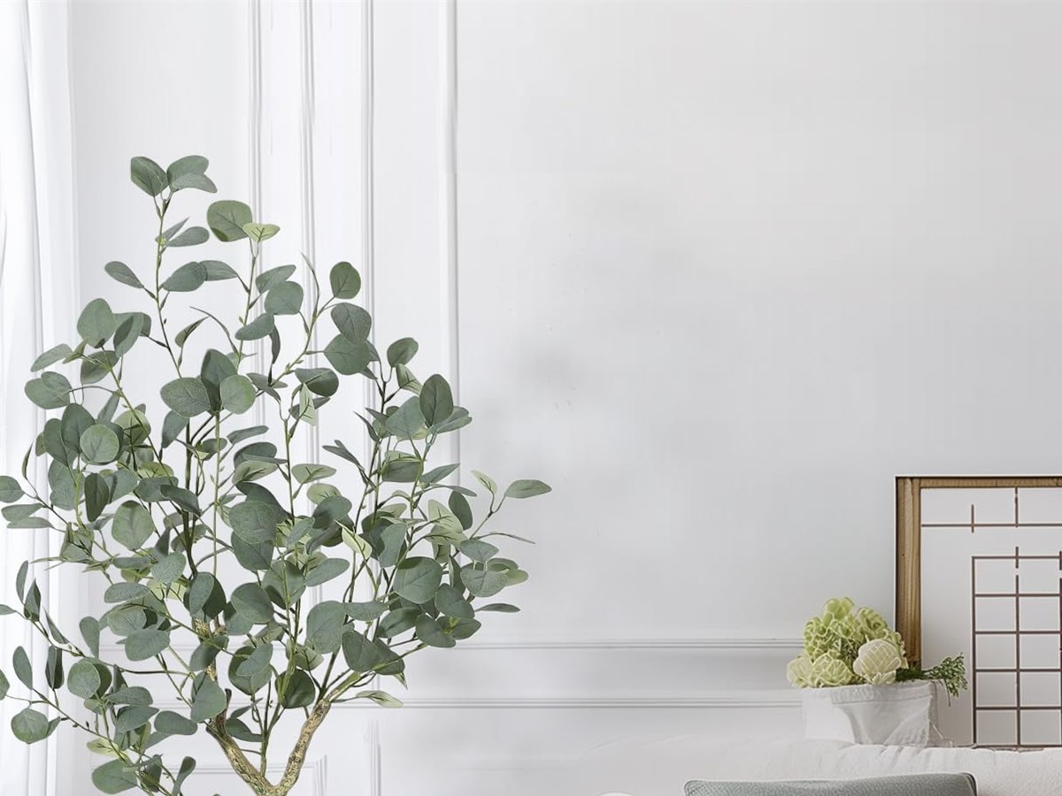 Eucalyptus Tree gallery view 2