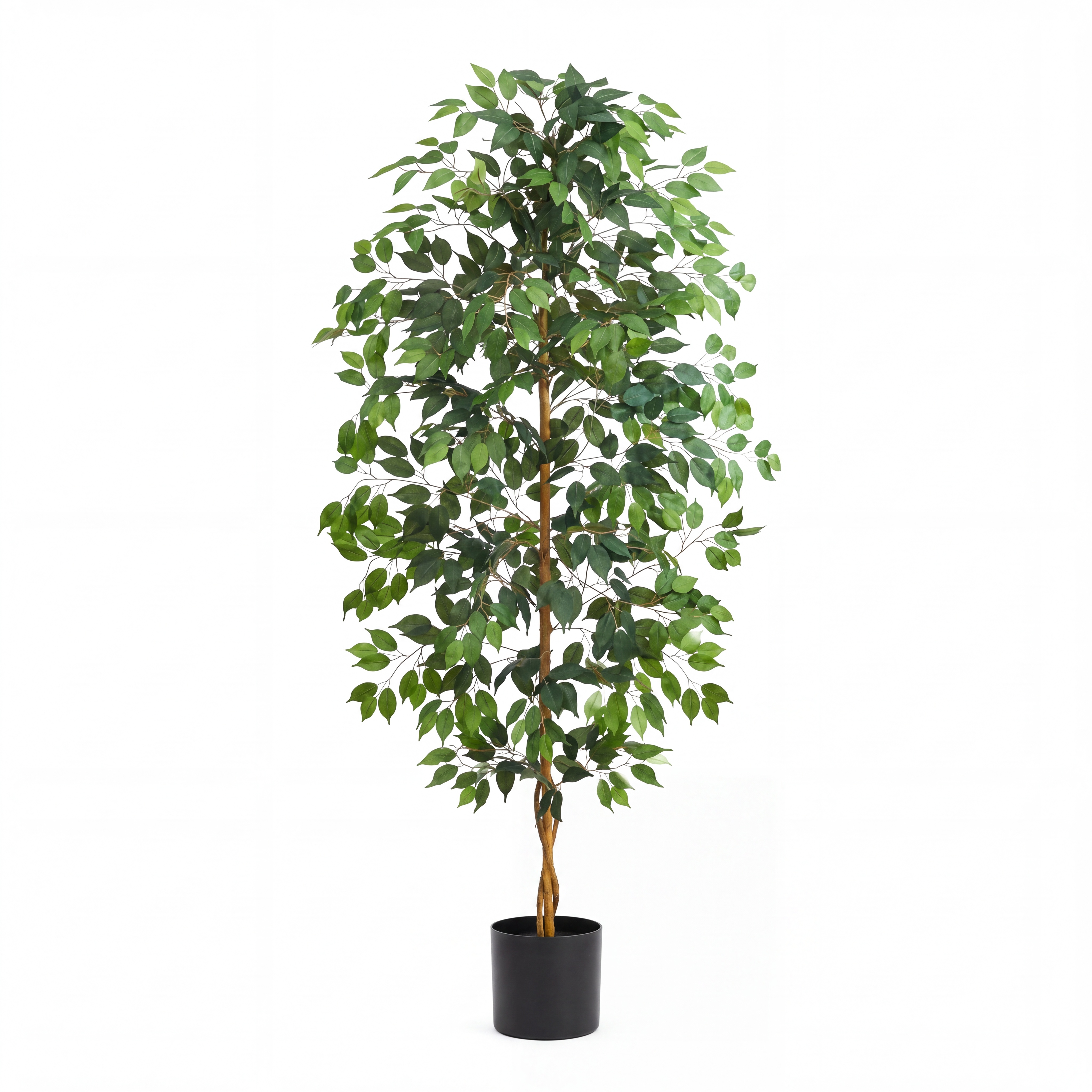 6FT Artificial Ficus Tree - Black Pot gallery view 5
