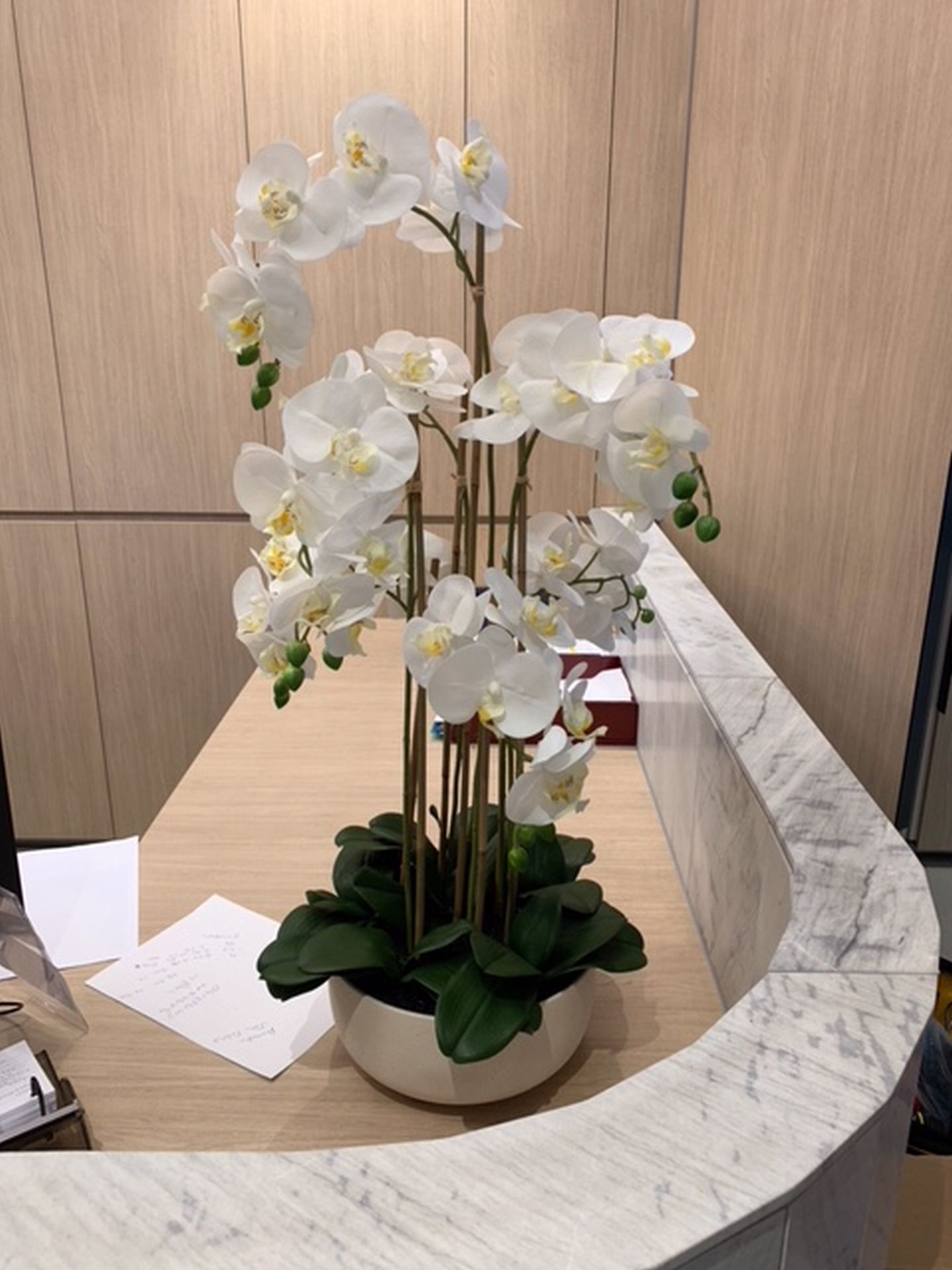 Orchid Pot styled selling photo