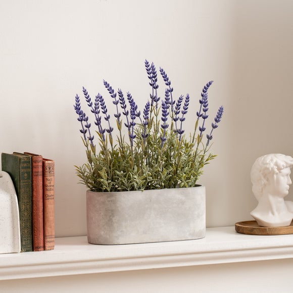 Lavender Pot styled selling photo