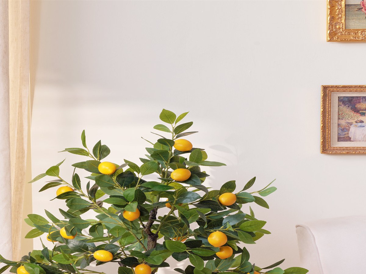 Lemon Tree gallery view 2