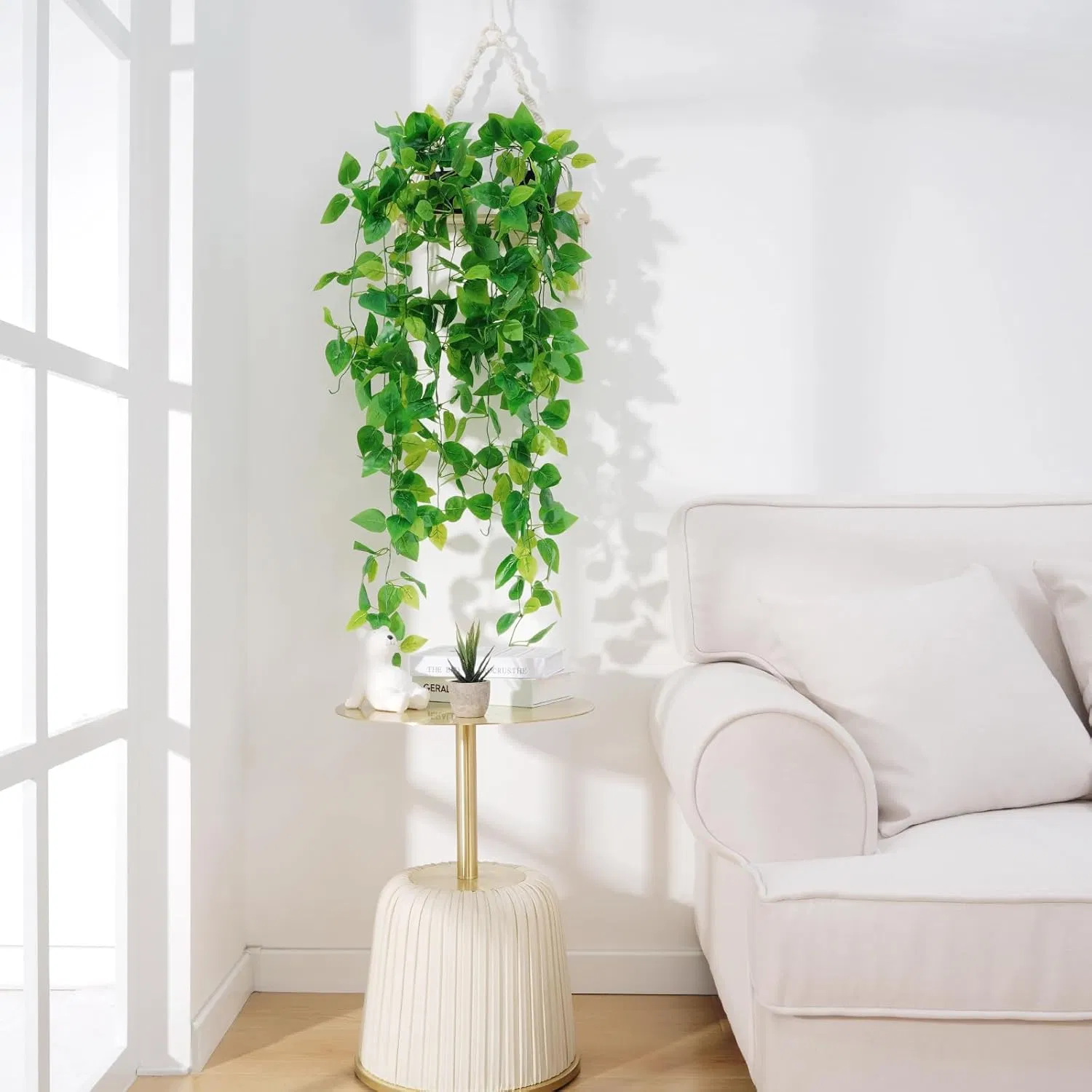 Hanging Pothos styled selling photo