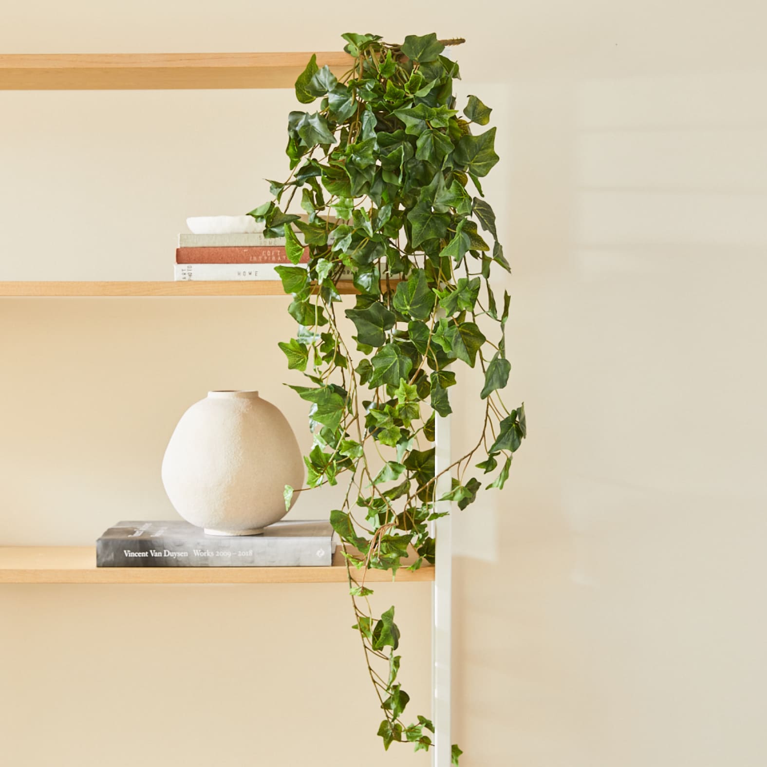 Trailing Ivy styled selling photo