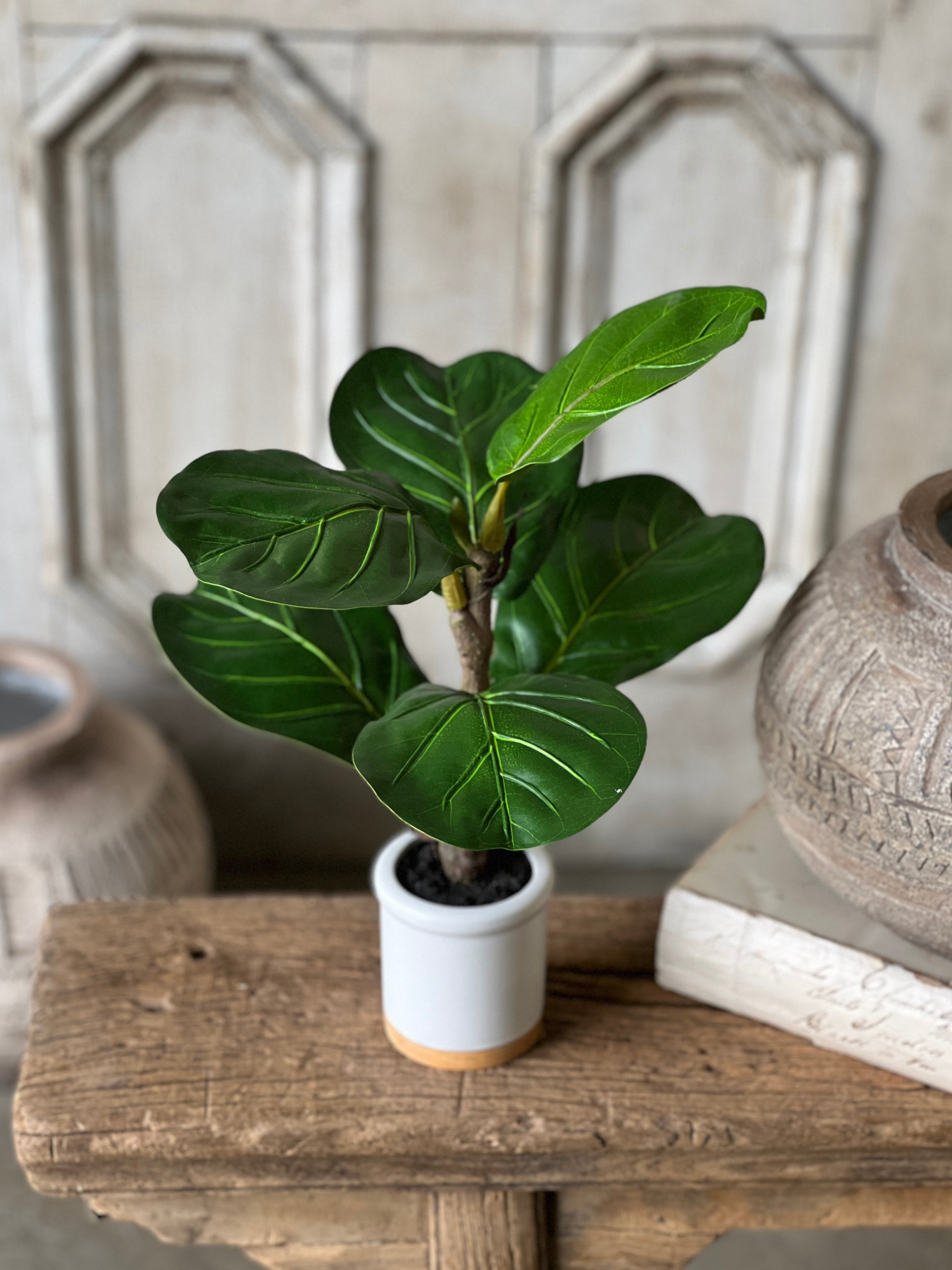 Tabletop Fiddle Leaf styled selling photo