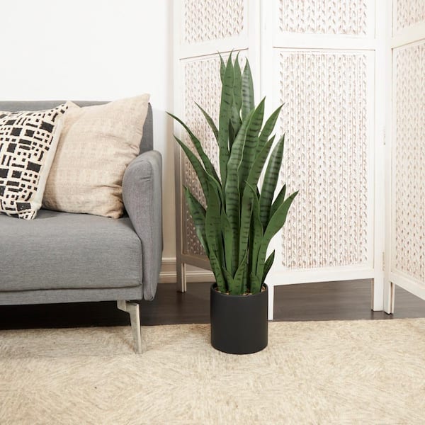 Snake Plant Pot styled selling photo