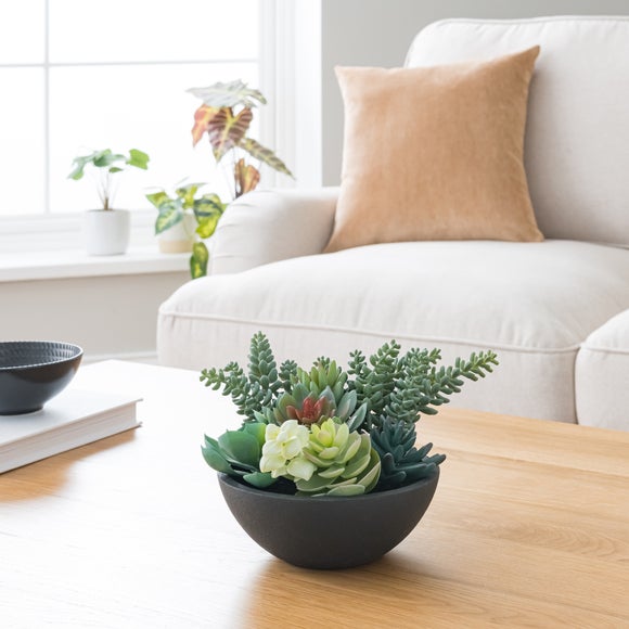 Succulent Bowl styled selling photo