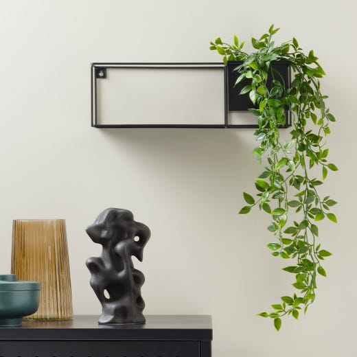 Trailing Philodendron styled selling photo