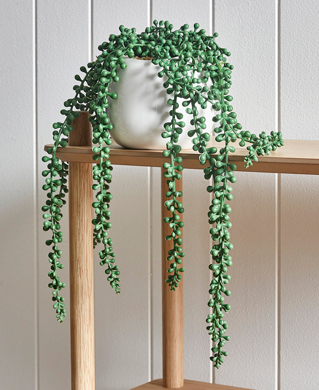 String of Pearls styled selling photo