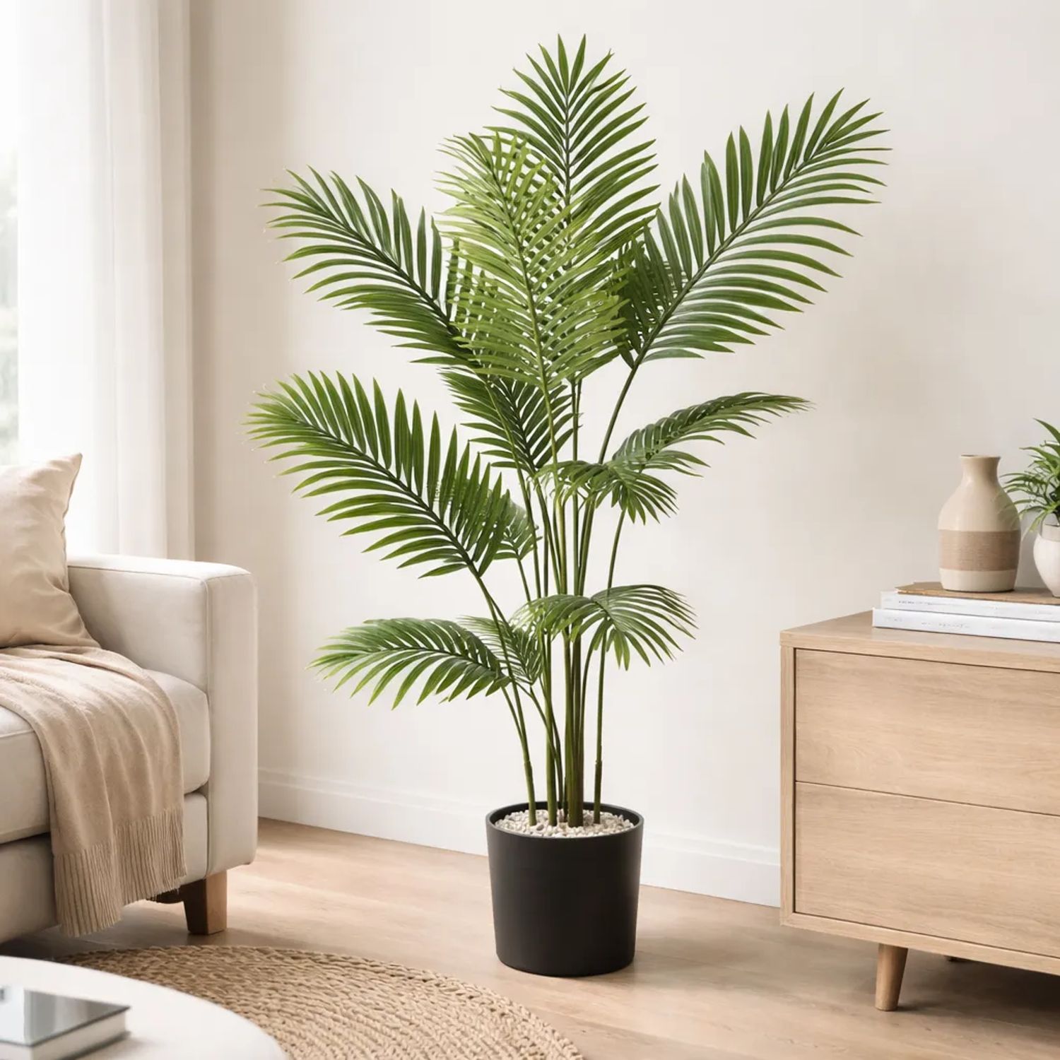 Areca Palm Tree product view