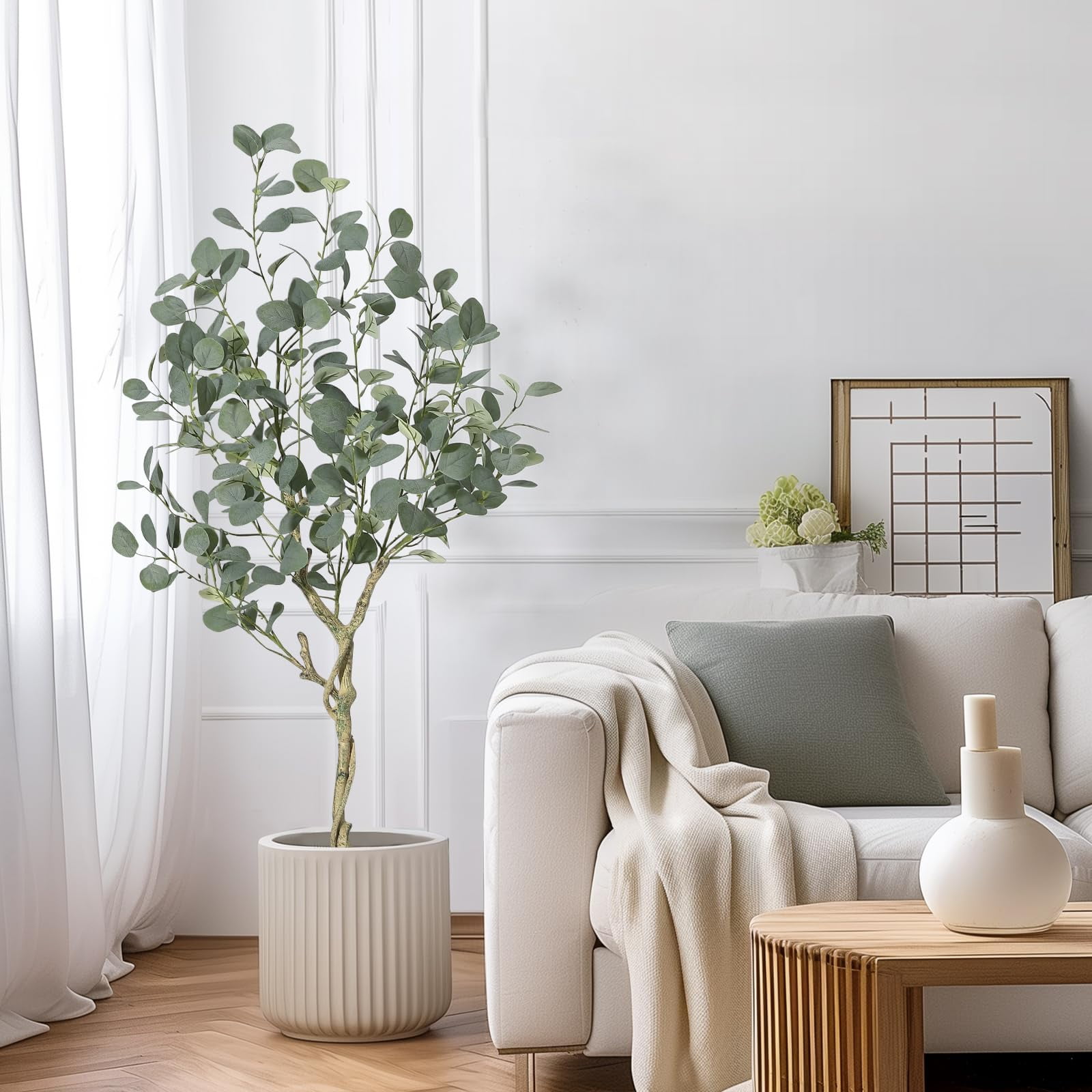 Eucalyptus Tree product view