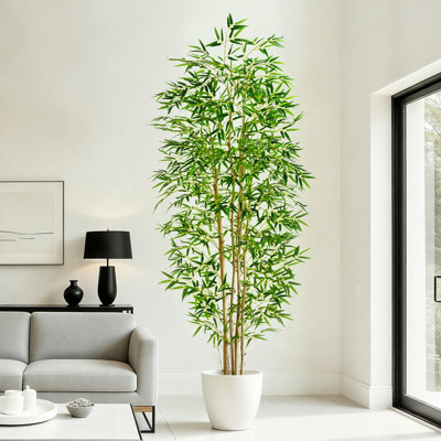 Bamboo Tree product view