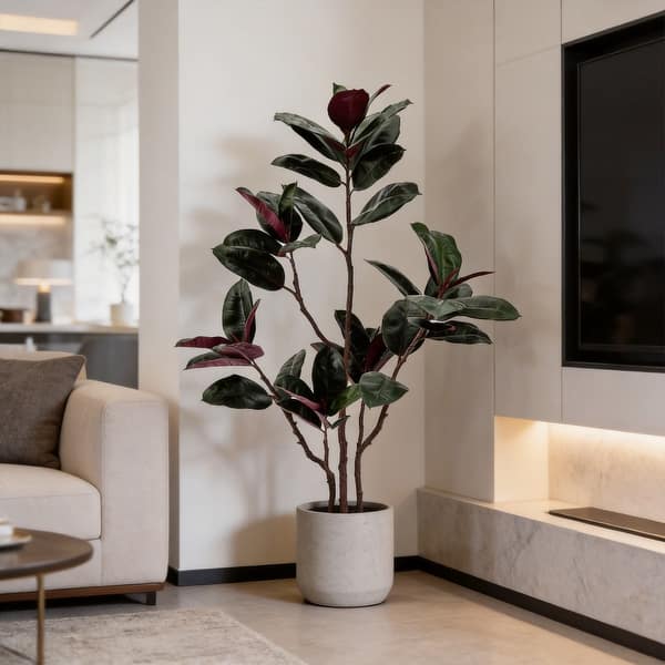 Rubber Tree product view